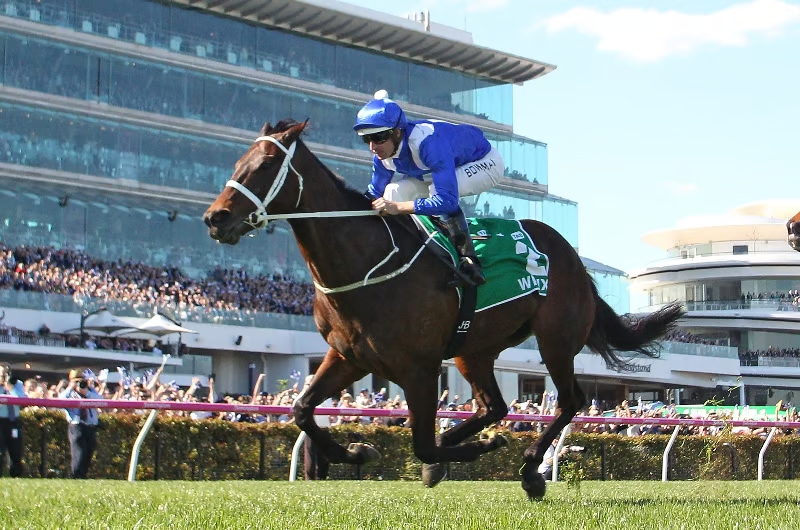 RacingPedigrees's tweet image. I had a little bit of a dig into Turnbull Stakes history...

bets.com.au/racing-news/tu…