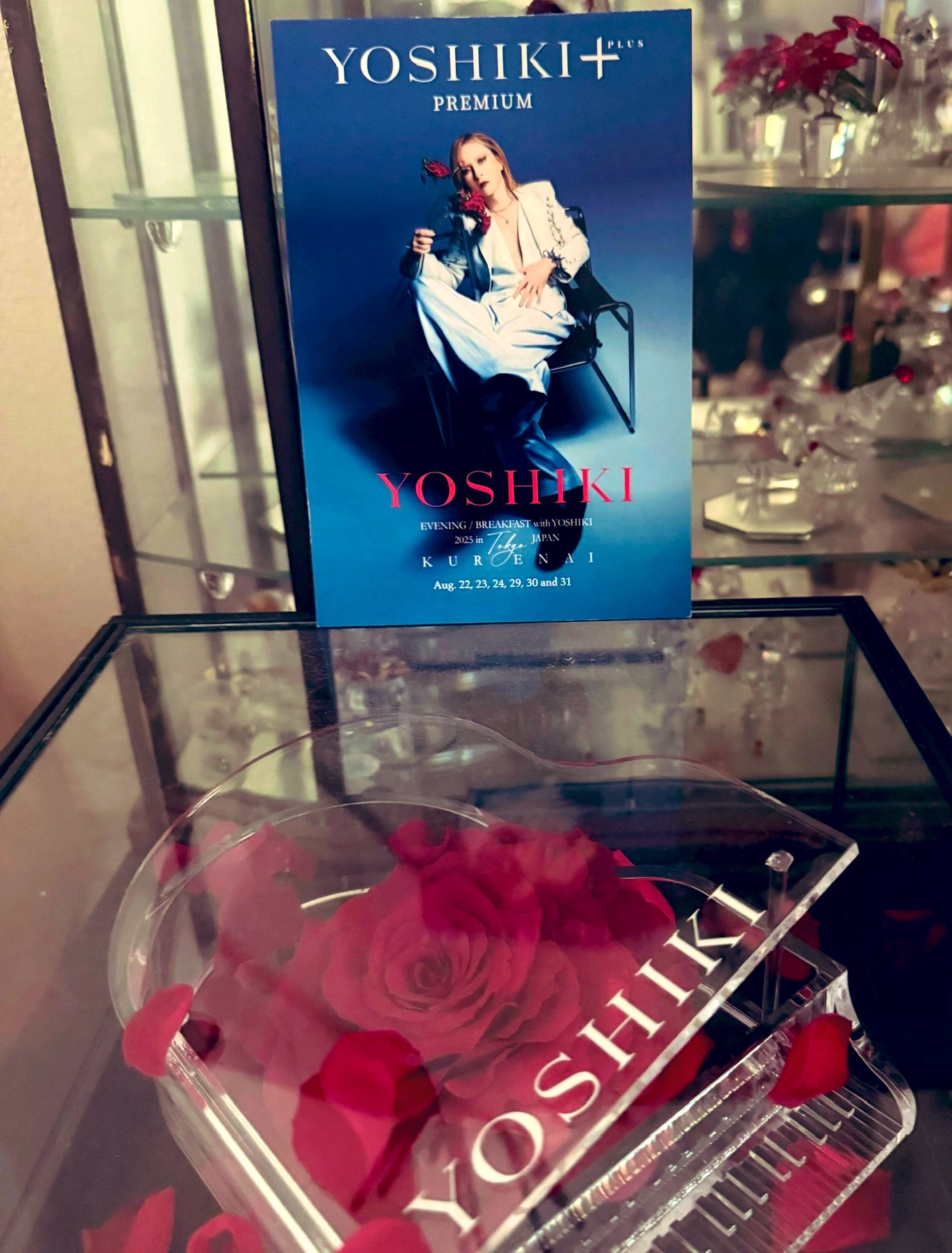 サイン入りVIPパスとメッセージyoshiki サイン入りVIPパスとメッセージyoshiki サイン入りVIPパスと