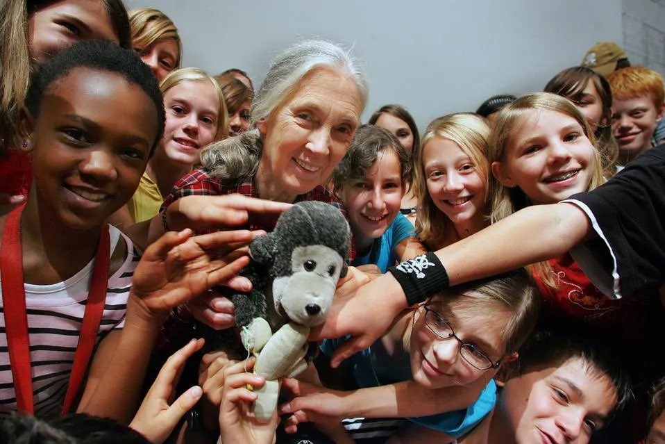 Dr. Jane Goodall has given the world profound lessons in interbeing,the recognition that every organism, from sentient beings to humanity itself, is deeply interconnected. Her tireless work across the globe, and here in Africa in particular,deeply inspired my pursuit of