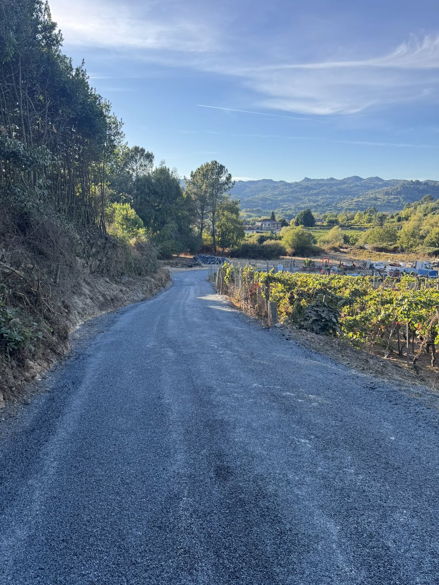 César Fernández tweet media