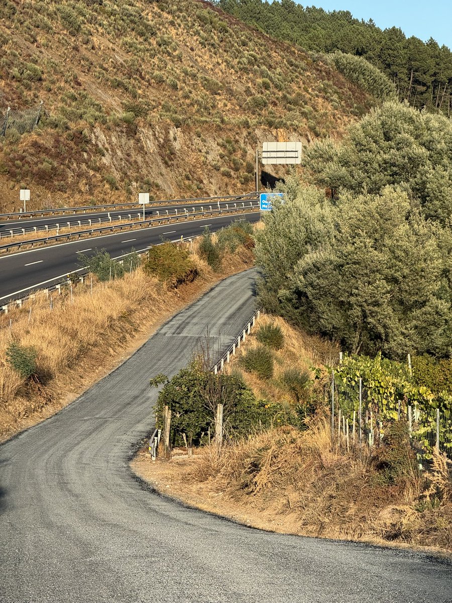 César Fernández tweet media