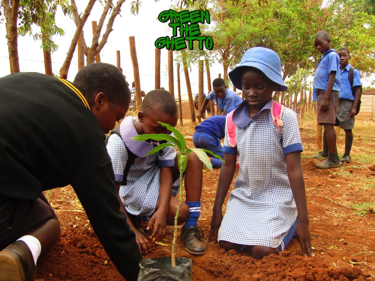 KuwadzanaPress's tweet photo. The Hatcliffe 3 Primary School tree planting session was inspiring; You could see the resilience and trust that all will fall into place in their eyes. 

20 high quality fruit trees were planted. We also handed over gardening tools. Thanks to Zimworx for sponsoring the event 🌱🌳 https://t.co/ZZ8n4NLXAm