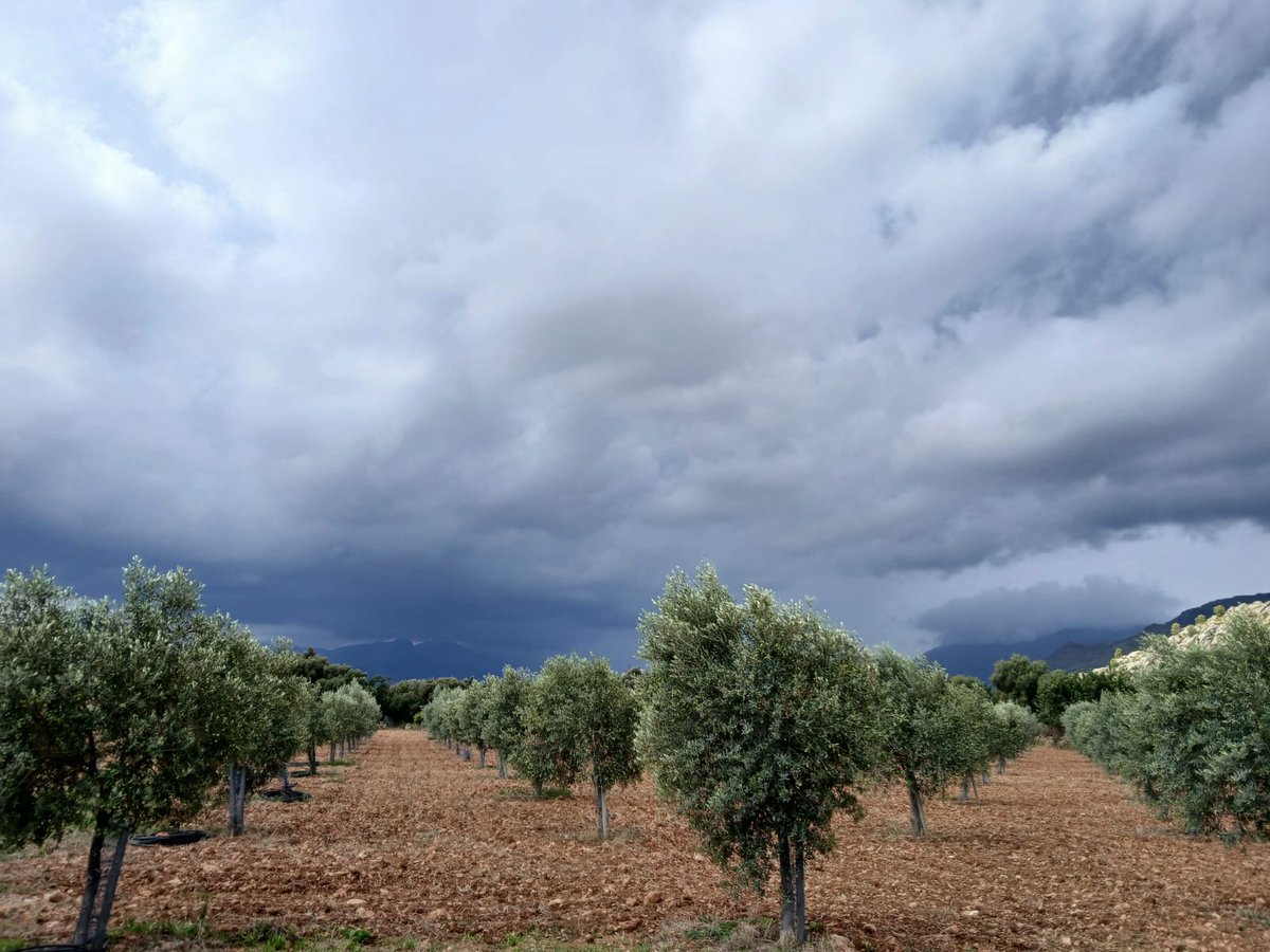 CBPAE's tweet photo. 📢Avui us deixam un parell d'imatges de les visites de camp realitzades aquest mes de setembre.
▶️Cada any visitam al manco una vegada cadascun dels 1300 operadors inscrits.
▶️On trobar els aliments eco? https://t.co/hDEWfzzp2O
#AlimentsEcodeBalears https://t.co/DH4N6ks8WA