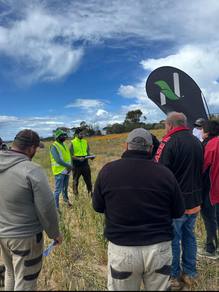 babarshahzad221's tweet photo. Great week at our gazania trial site in Arno Bay, SA ๐พ
Fantastic to share research with growers & agronomists on herbicide options for gazania control.
Thanks to @theGRDC for funding & #NutrienAg Cleve for support!
#AgResearch #Weeds #GRDC #gazania https://t.co/Xz1pcG2xaj