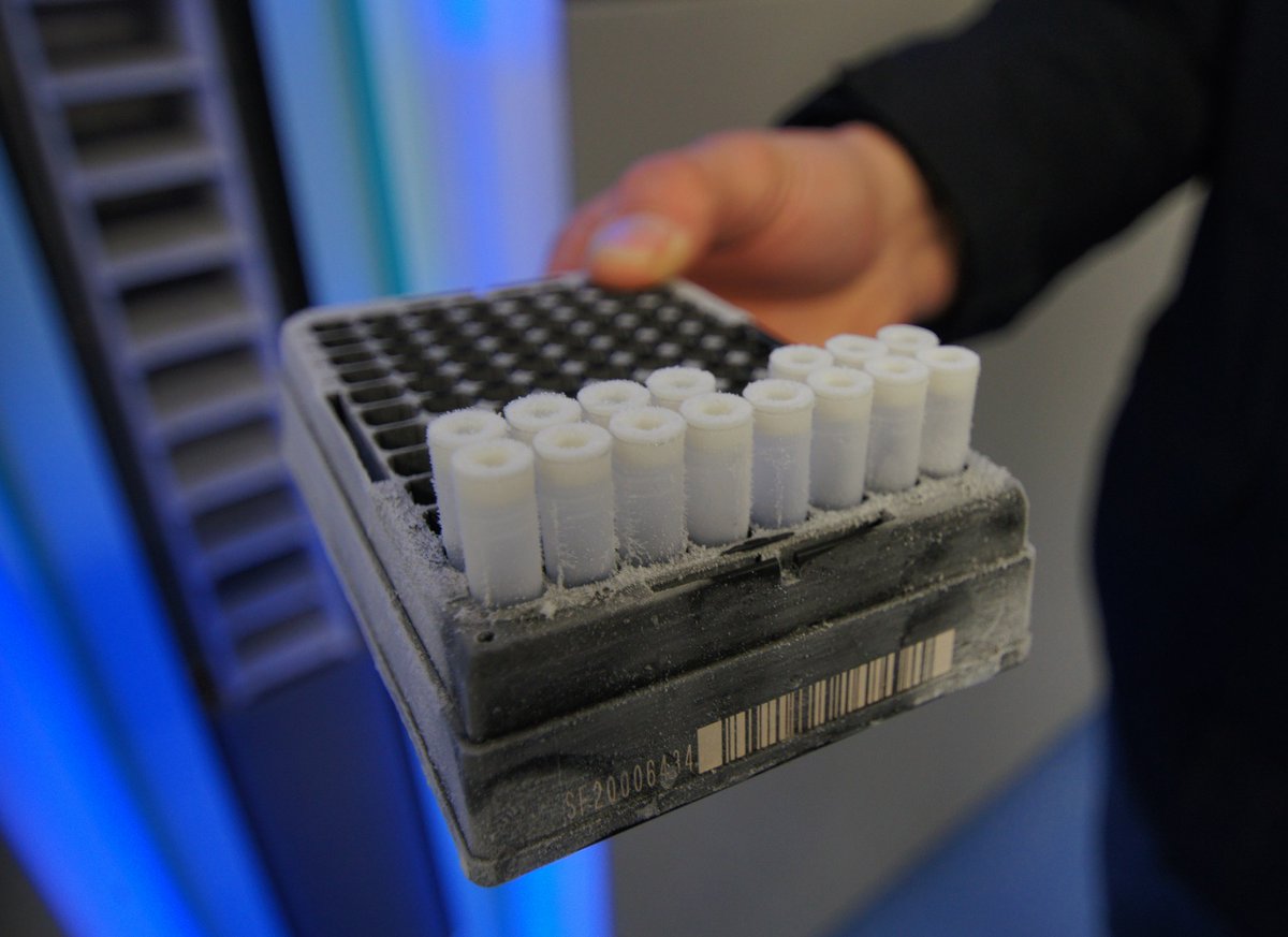 LifelinesNL's tweet image. 💡 Wondering what it costs to use Lifelines data or biosamples? Using Lifelines is often more cost-efficient than setting up your own infrastructure.
🔗 Explore the details:
 lifelines-biobank.com/researchers/wh…
#lifelinesbiobank #biosamples #healthresearch #datasharing #openresearch