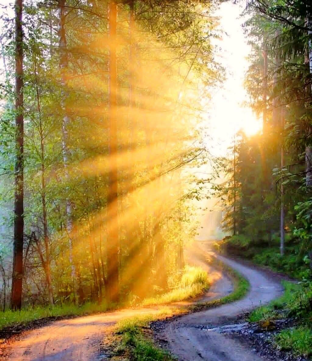 🌹وَتَدعو أن لا يكون طريقك وَعِراً؛ لتَّنجو، 
فيكون وَعِراً، وتَنجو!
لتَعلمْ أَنَّ النَّجاةَ مِن الله، لا مِنْ الطَّريق.❤️❤️