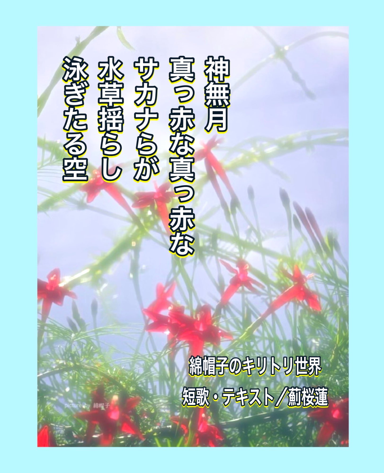 薊桜蓮/藍上王歌/怪談一里塚 に作品収録 on X: 