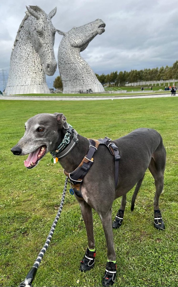 Blue Nial 💙 | 🌈 Diamond Jet 💎 tweet media