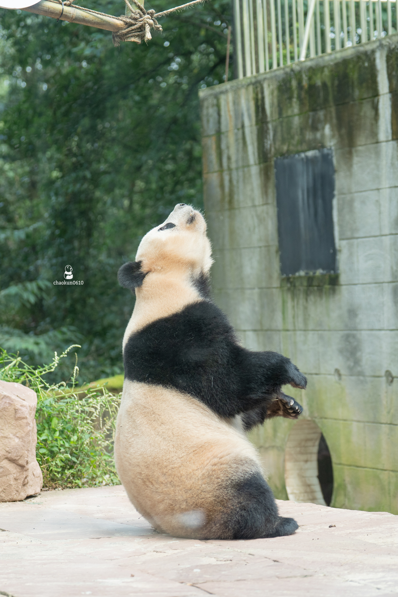 ﾁｬｵ CHAOKUN0610 on X: 