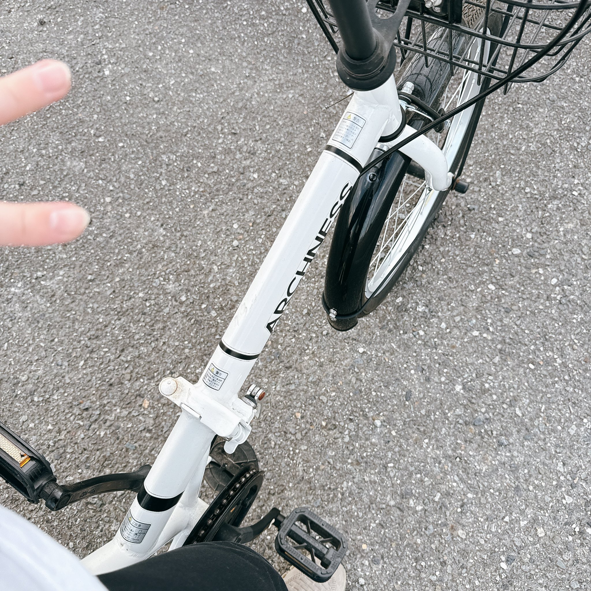 エビ　要プロフィールの確認お願い致します えびぃの 🍤 on X: 