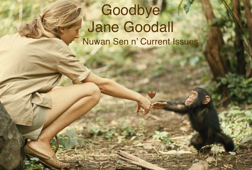 Corrected it!#LateLastNight,t’was way past #midnight,when I posted the above tweet on the incredible #JaneGoodall’s passing!Chose&amp;typed those pics very quickly,didn’t notice the typing error made!What a lovely personality!May she rest in peace!Primatologist&amp;Anthropologist!#NSFS👁️