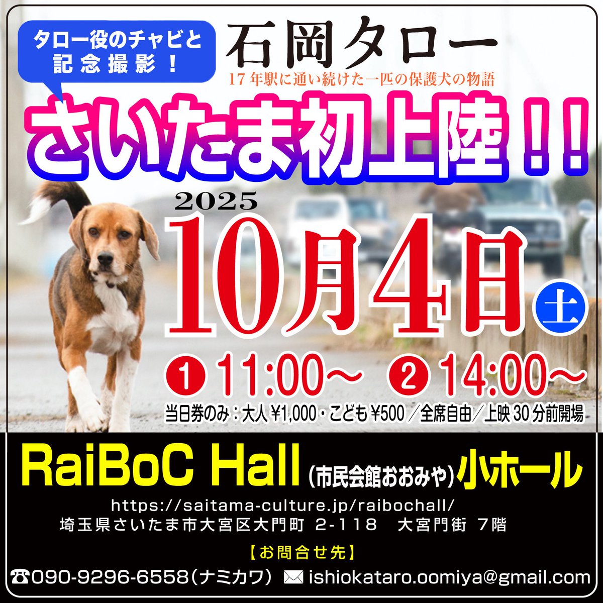 ishiokataro's tweet image. 🔶 タロー役のチャビと記念撮影🔶
『石岡タロー』大宮・レイボックホール
劇場前の歩道でチャビお出迎えの予定です。ぜひ一緒に写真を撮って下さい！
#石岡タロー
#大宮
#レイボックホール
#犬映画
#感動
#保護犬
#旧車
#昭和レトロ
