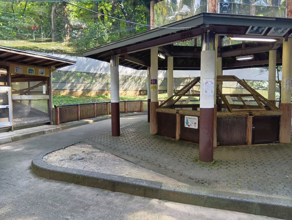 nipanipa128's tweet image. 念願の加茂公園にリスちゃんに会いに行ってきました!
リスちゃんは雨に弱く
犬や猫のように濡れた体を
ブルブルッとできないそうで
早朝雨模様だったため
今日はお戯れできず🥹
変わりに?蚊5匹ほどとお戯れ🦟
蚊め!私はさぞやうまかろう🤯
#加茂公園
#リベンジしたい
#柵越しのりすちゃん