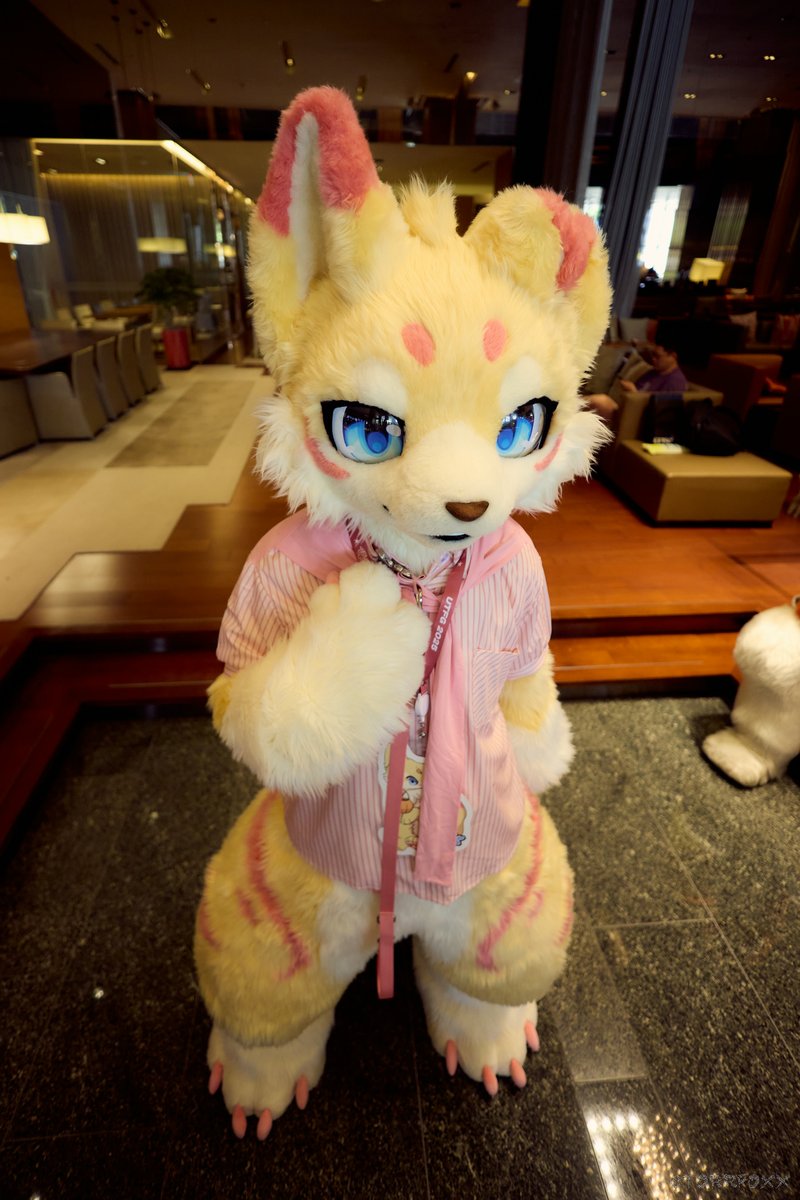 ちびっ
📸:<a href="/TorrFoxx/">圖爾 UTFG 🔜 Infurnity 2025</a>