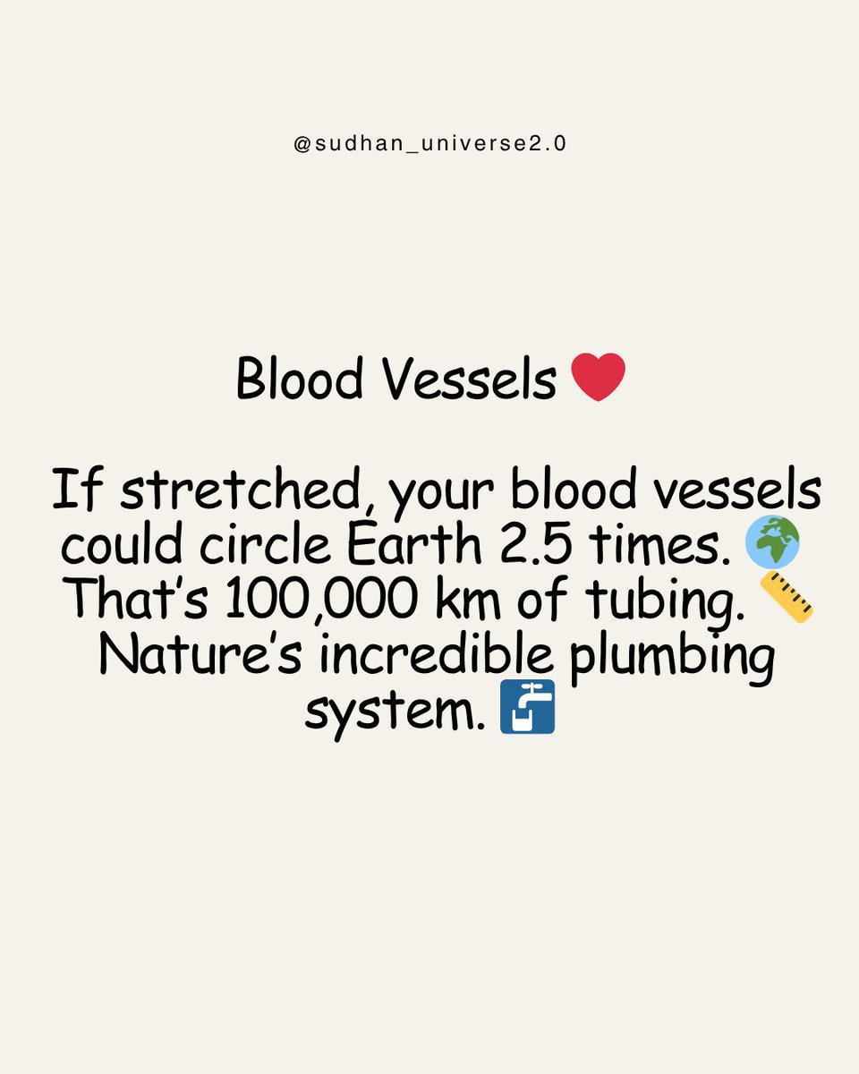 Sudharshanr035's tweet image. Blood Vessels ❤️
👉 #BiologyFacts #HumanBodyMagic #CirculatorySystem #ScienceTalk #DidYouKnow