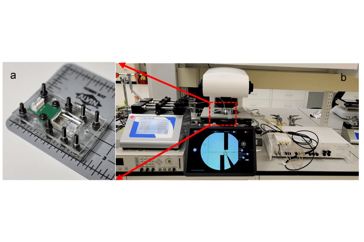 #OpenAccess 
📖 "A Droplet-Based Microfluidic Impedance Flow Cytometer for Detection of Micropollutants in Water" 
 
👉brnw.ch/21wWhlt

#microplastics #microfluidic_impedance_flow_cytometry #droplet_based_microfluidics #impedance_spectrosco