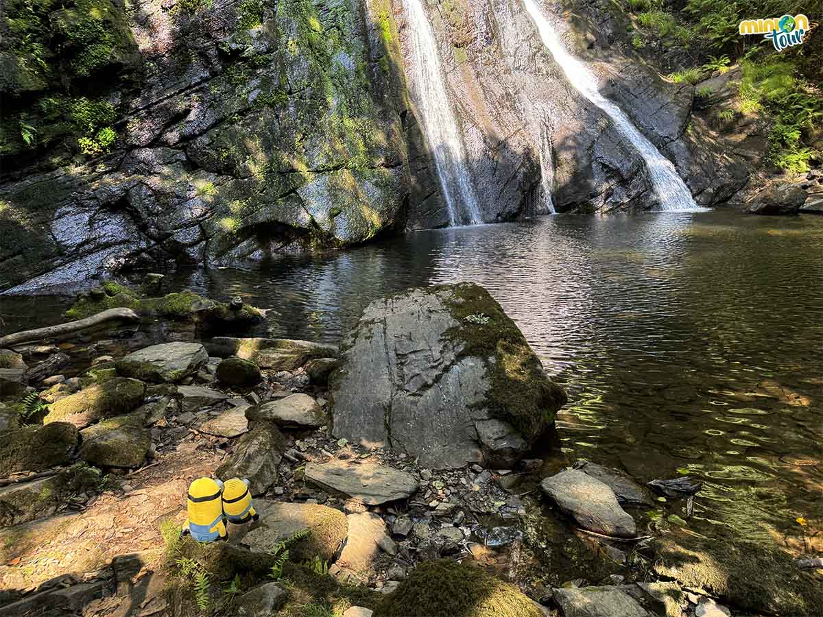 🆕 post!
Si quieres conocer la cascada natural más alta de #Galicia 💦, vas a tener que ir muy cerquita de #AFonsagrada 🌄, en #Lugo. Es la Seimeira de Vilagocende y tiene hasta leyenda 📜 Toda la info, aquí:
👉 bit.ly/SeimeiraVilago…
@galiciatb <a href="/MadridTB/">Madrid TB</a> <a href="/SpainTravelB/">Spain Travel Bloggers</a> <a href="/buron_de/">Terras de Burón</a>