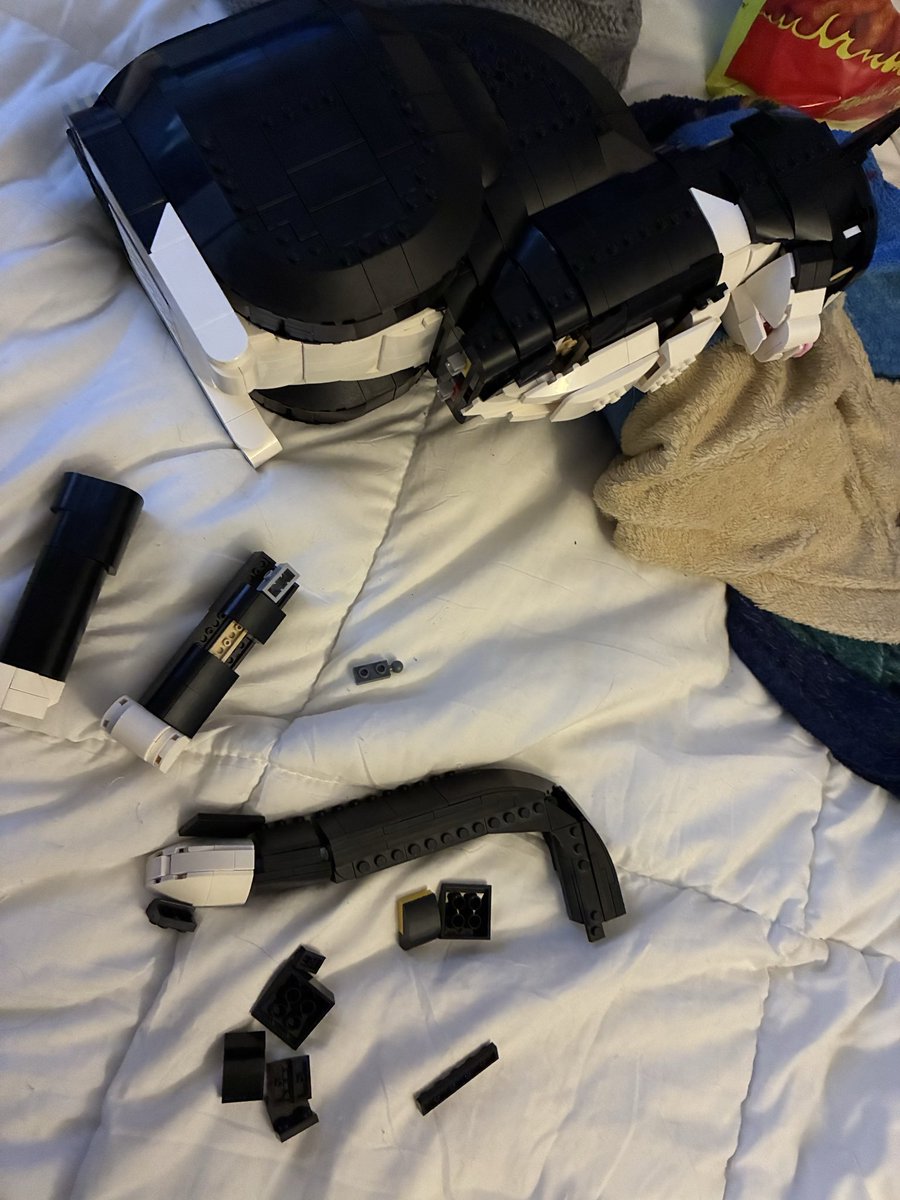 yall ever bpd split cuz someone (a cat) broke ur lego cat? no? just me? cool