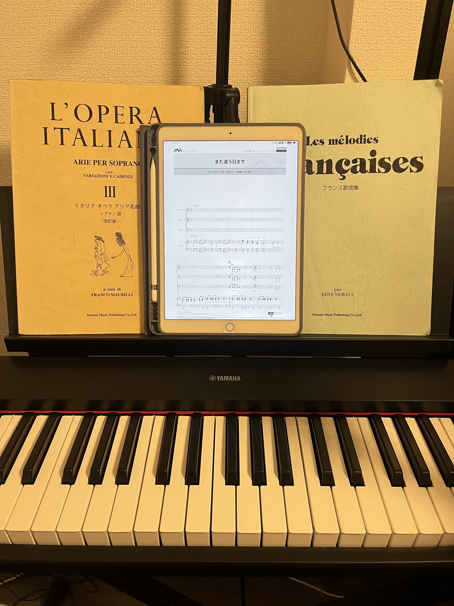 やまだ ちひろ (@sop_chihiro) / X