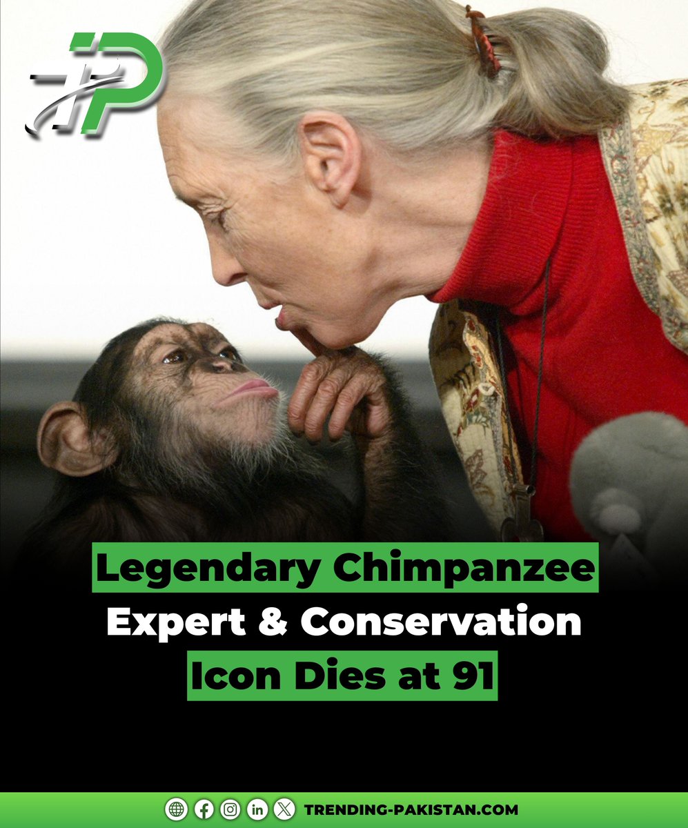 ItsTrendingPAK's tweet photo. 🌍💔 Jane Goodall, the legendary primatologist who redefined humanity’s bond with chimpanzees, has died at 91. Her legacy of science, compassion &amp; conservation lives on through millions inspired by her vision. 

#JaneGoodall #WildlifeConservation #TrendingPakistan https://t.co/42FsbWszMh