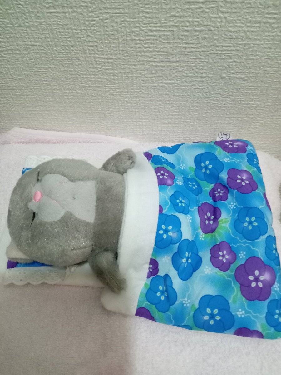 shibarisumi's tweet image. #ぼうみたいなねこ
#お布団も買った
寝ている姿が可愛いぼうみたいなねこ😸ちゃん
気持ちよさそう😸
