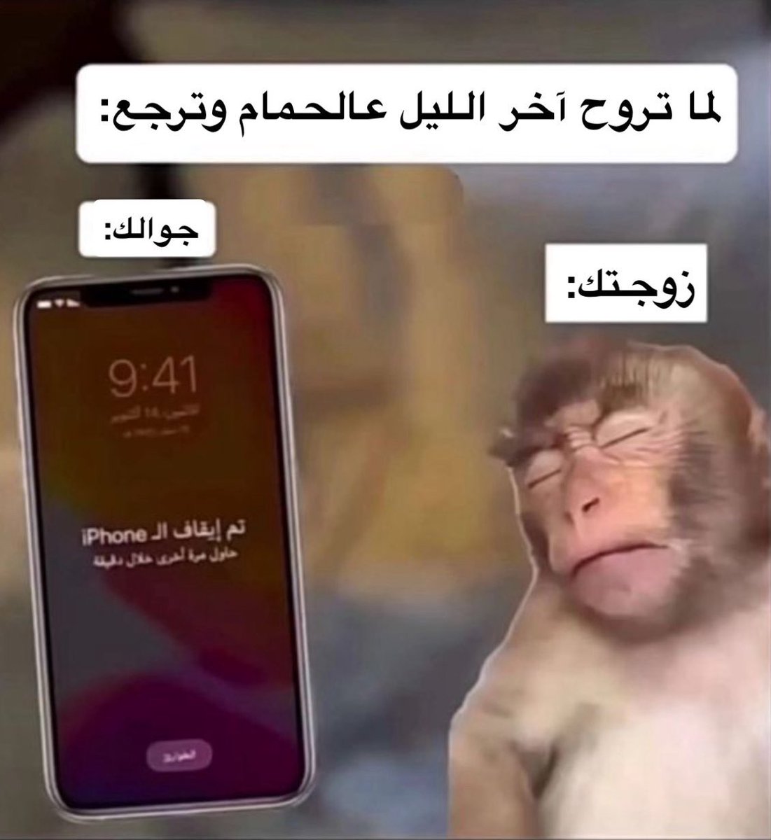 🐣الْهولنديـــــّة🐣 (@farhatomr401) on Twitter photo 