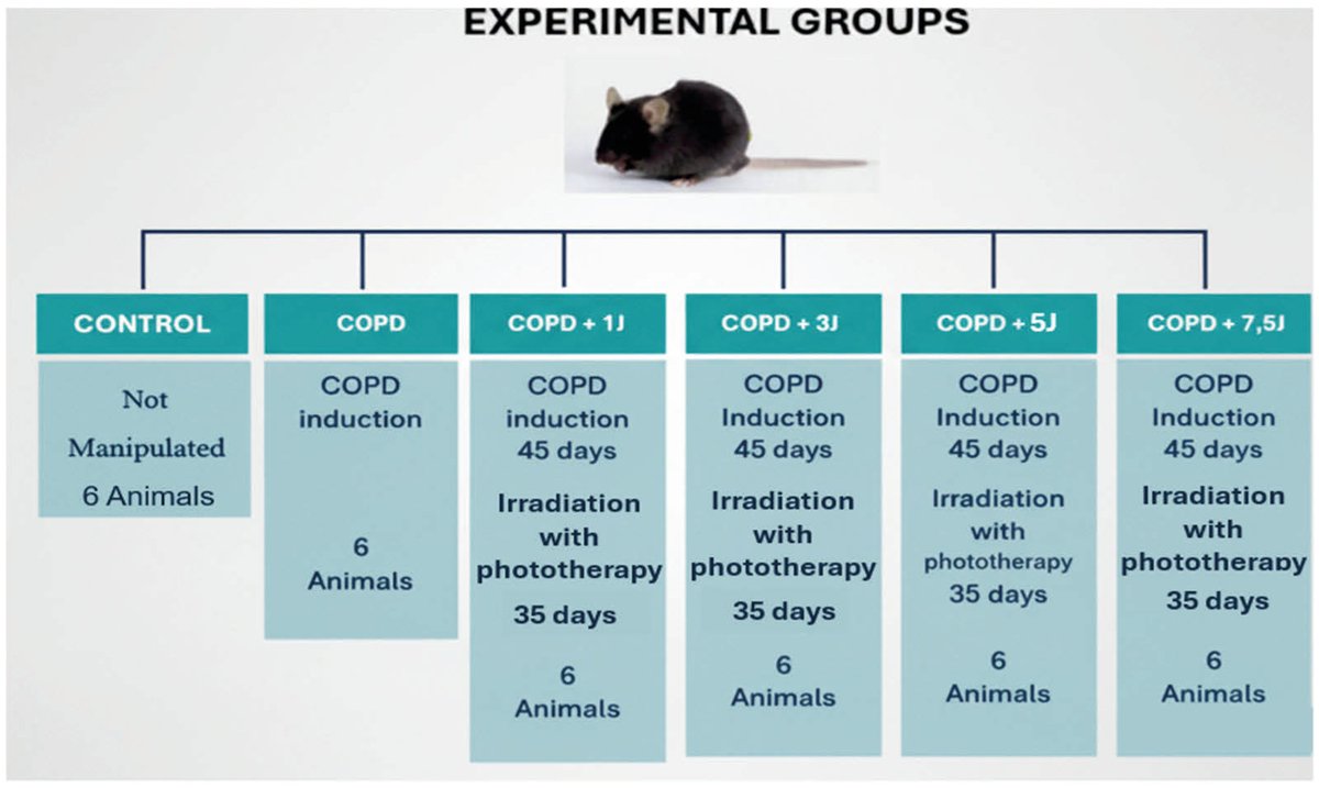 🔔#Allergies_MDPI Welcomes you to read our publication "Effect of Photobiomodulation Therapy in an Experimental Model of Chronic Obstructive Pulmonary Disease: A Dosimetric Study" by Prof. Cintia Estefano Alves et al.

✅Link: brnw.ch/21wWhGR

#Photobiomodulation #PBMT
