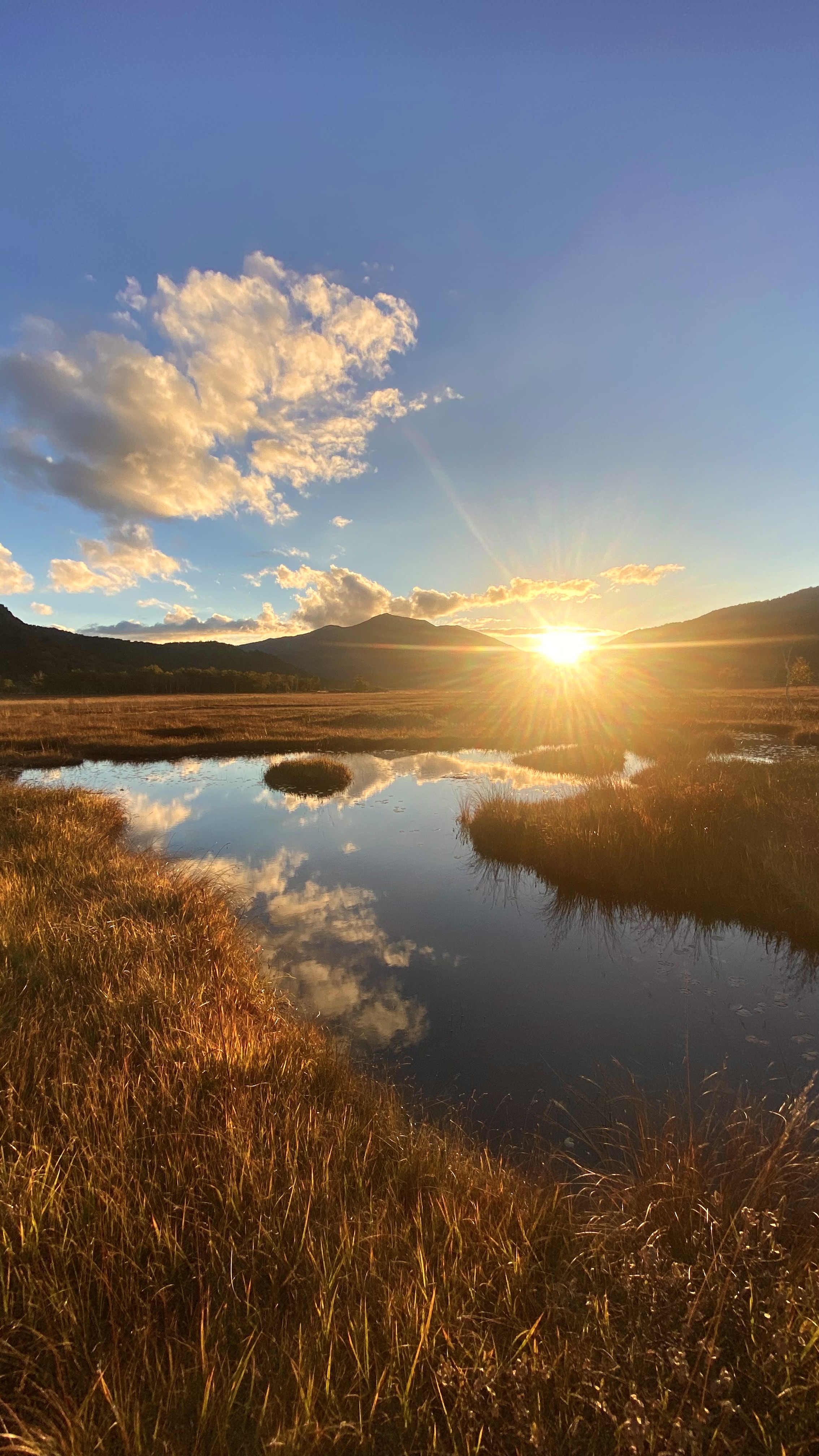 夕暮れ れん on X: 