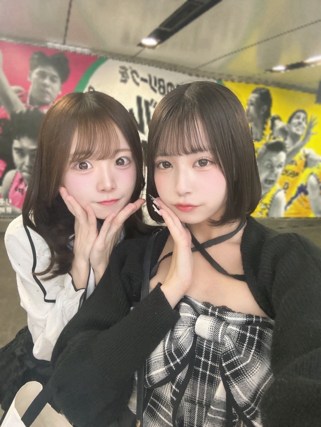 にゃんた♡エレビット4袋◡̈ にゃんた♡エレビット4袋◡̈ にゃんた♡エレビット4袋◡̈