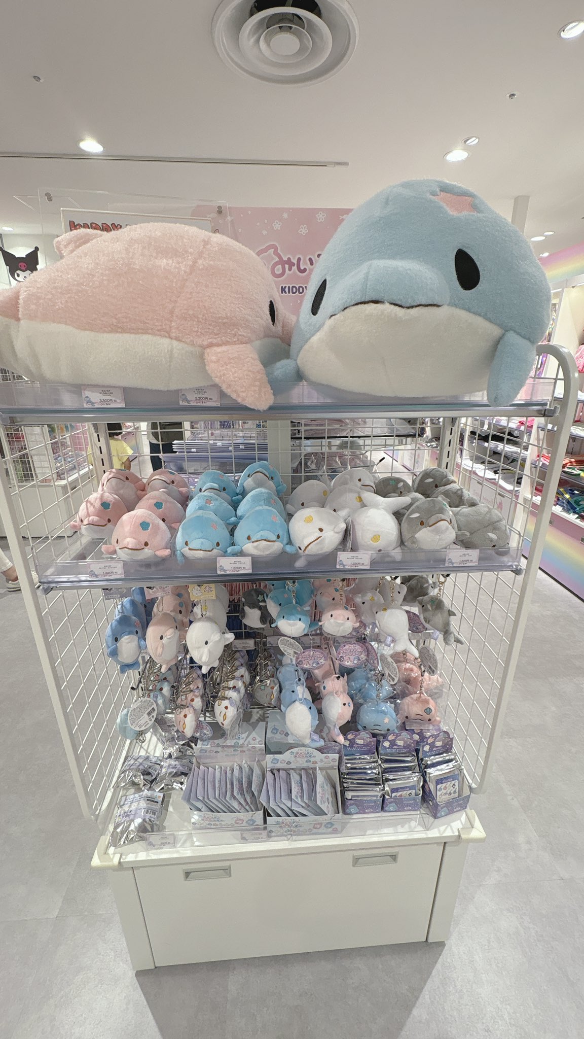 みいるか🐬🎨 (@miiruka_) / X