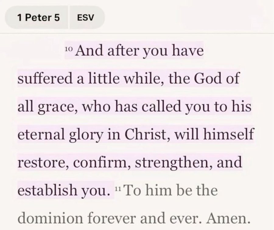 Bible 365 tweet media