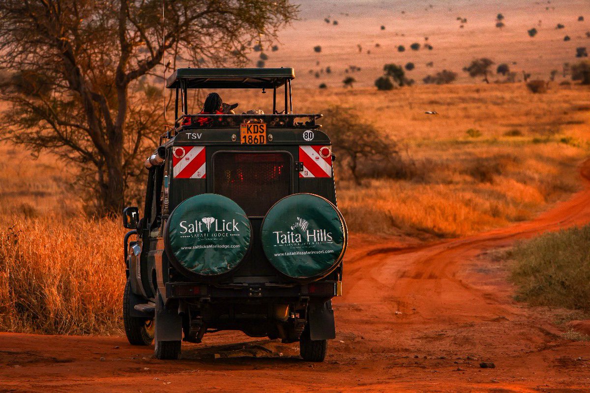 TaitaSanctuary's tweet photo. 🌄 Mornings on the wild side… Golden rays, birdsong, and wildlife awakening. At Taita Hills Wildlife Sanctuary, every sunrise is nature’s masterpiece. ✨

#TaitaHillsWildlifeSanctuary #MorningInTheWild #TsavoMagic #SafariSunrise https://t.co/YE5JXSQPyo