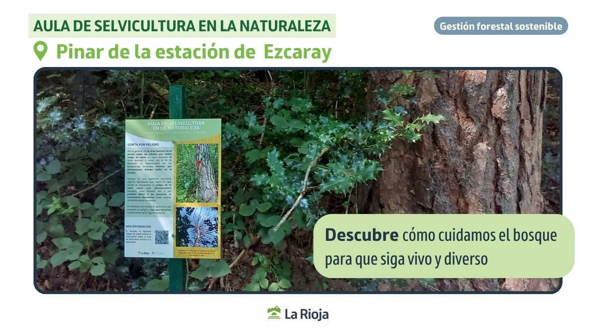 🌲✨ ¿Sabías que en el pinar de la estación de Ezcaray existe un aula de selvicultura en plena naturaleza?

Un proyecto piloto que muestra en un recorrido interpretativo cómo se cuidan los bosques para que sigan vivos, diversos y llenos de vida

ℹ️ larioja.org/medio-ambiente…