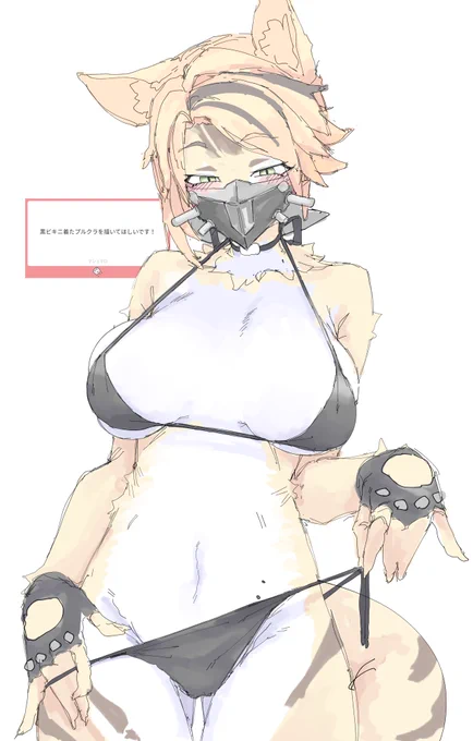 プルクラ