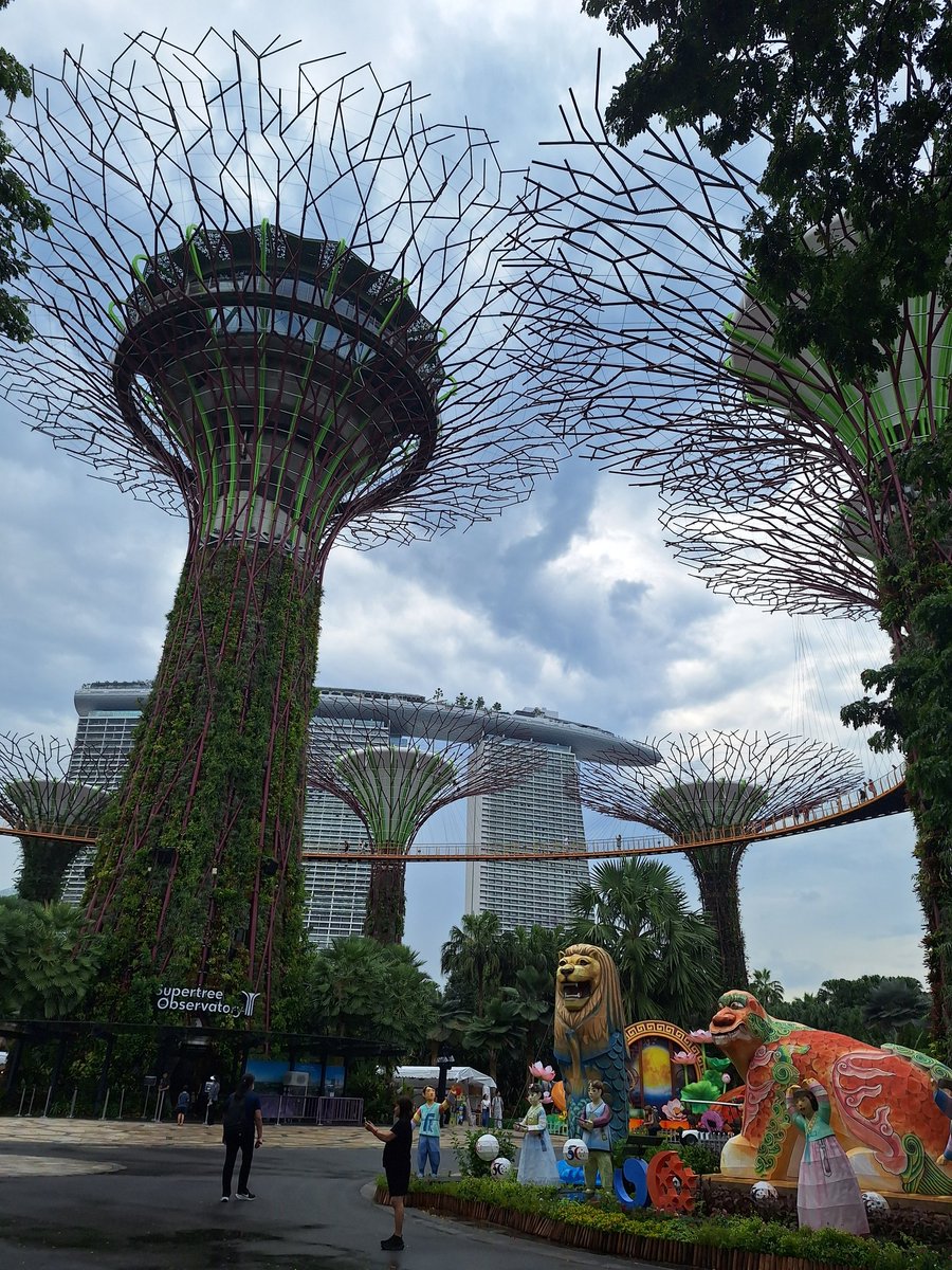 Jaytrading tweet media