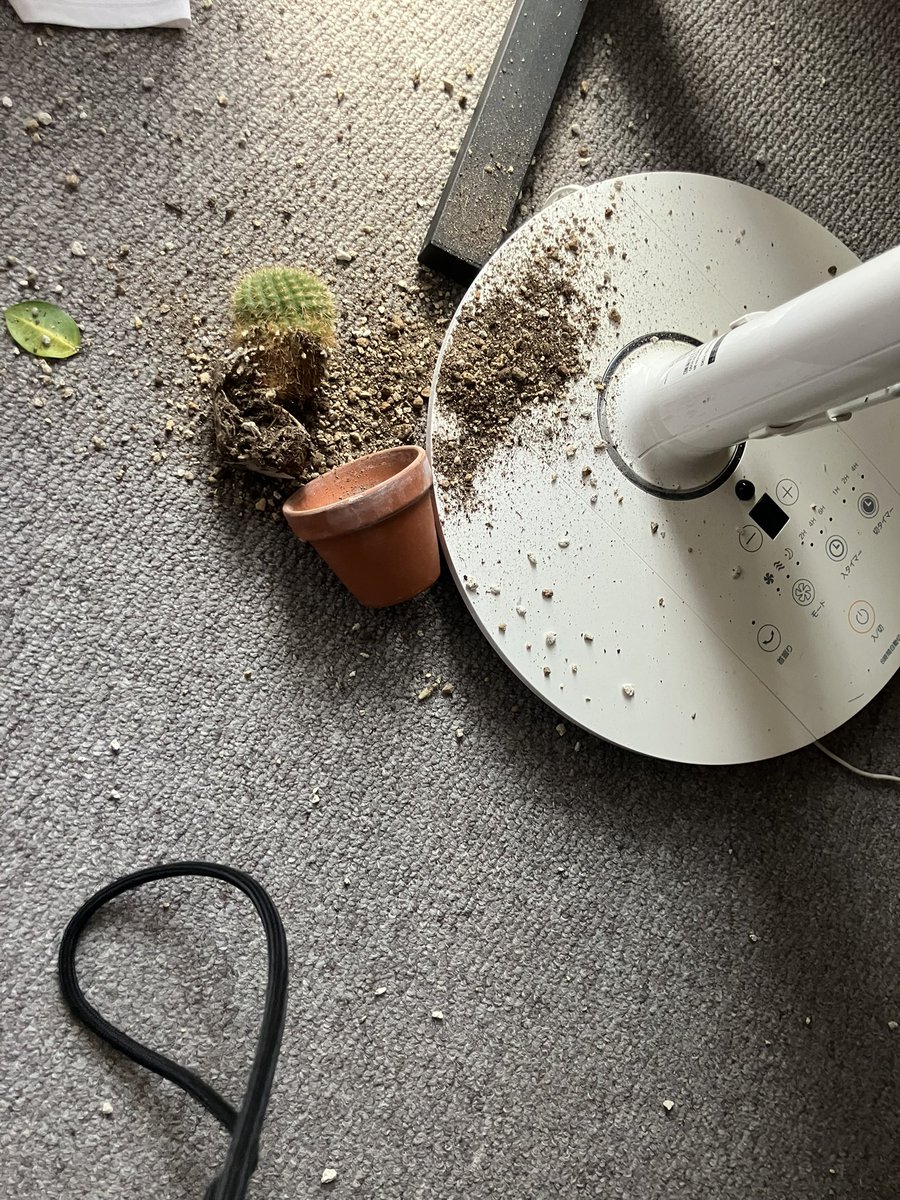 Napioreo's tweet image. さぼみ、、、ごめんよ。