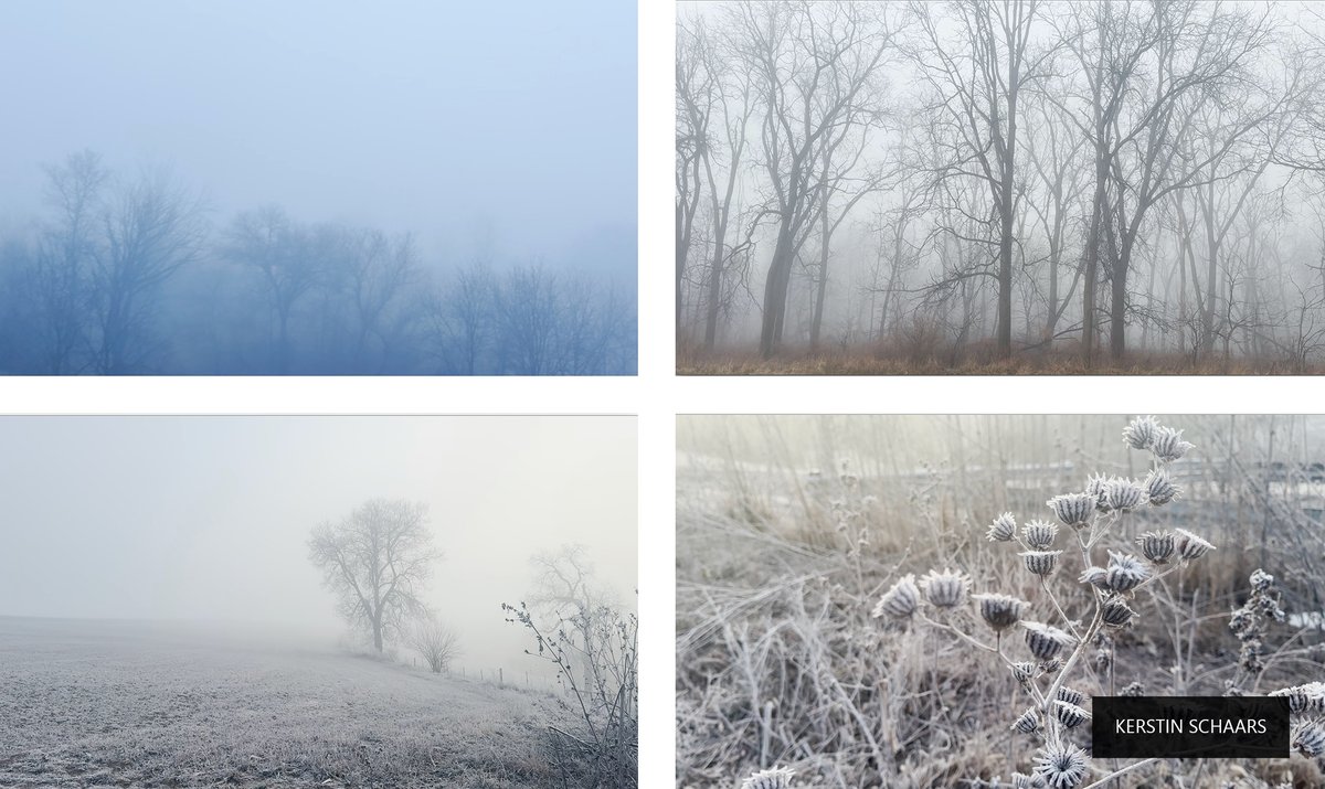 Work by Kerstin Schaars, "Frost", 2025 │Watch the video on vimeo 👉 shorturl.at/1LCk2
—
NORTHERNNESS / Article 👉 shorturl.at/5aD6W