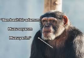 Ersin tweet media