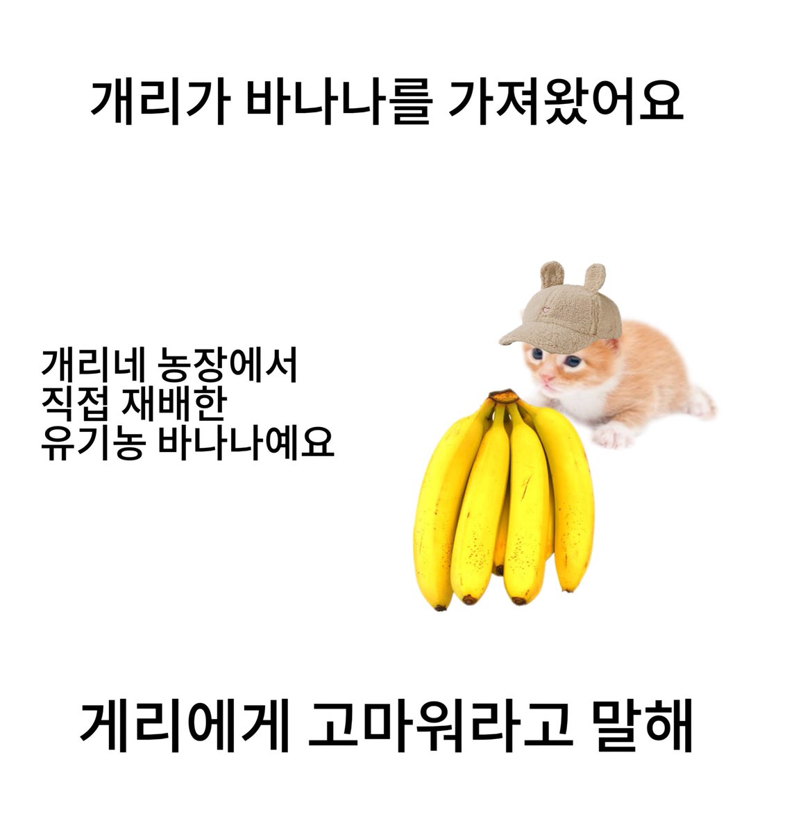 garyKorea__'s tweet photo. 게리에게 고마워라고 말해 https://t.co/wqTPycNG4e