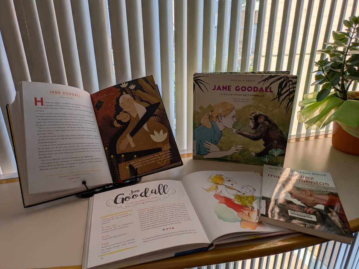 Avui diem adeu a la llegendària primatòloga, la Dra. #JaneGoodall 

🔎Vols conèixer millor la seva vida i obra?

Al catàleg Atena atena.biblioteques.cat pots cercar totes les obres escrites per Jane Goodall i les que s'han escrit sobre ella disponibles a <a href="/bibliotequescat/">Biblioteques</a>