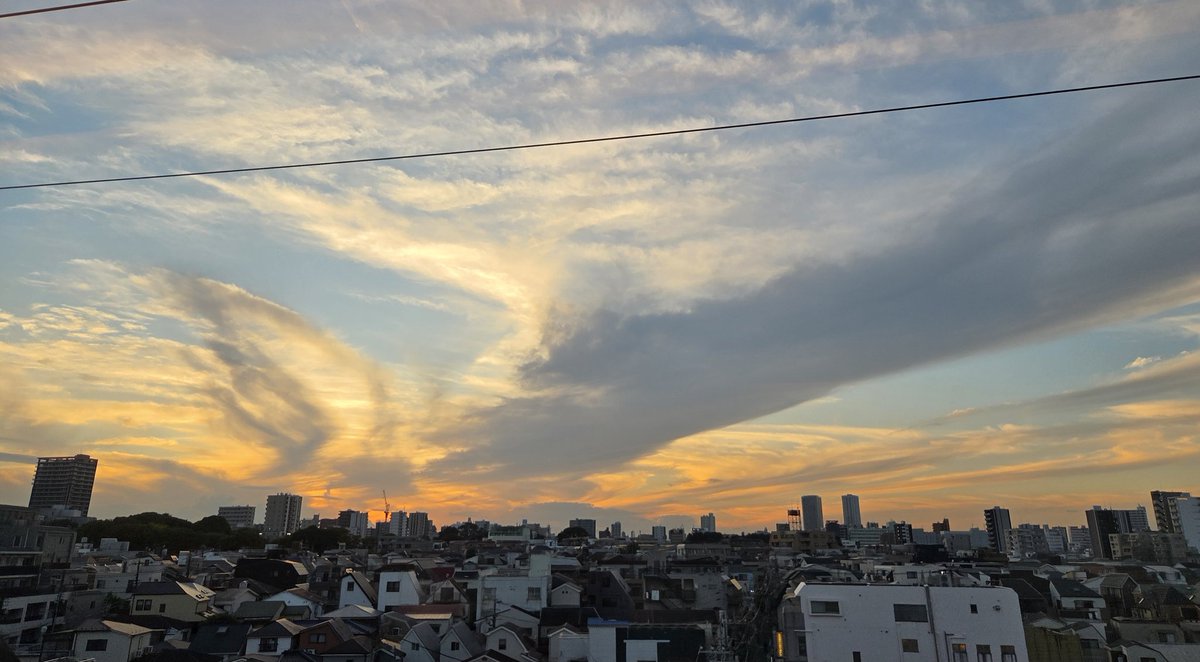 火の鳥をみた
