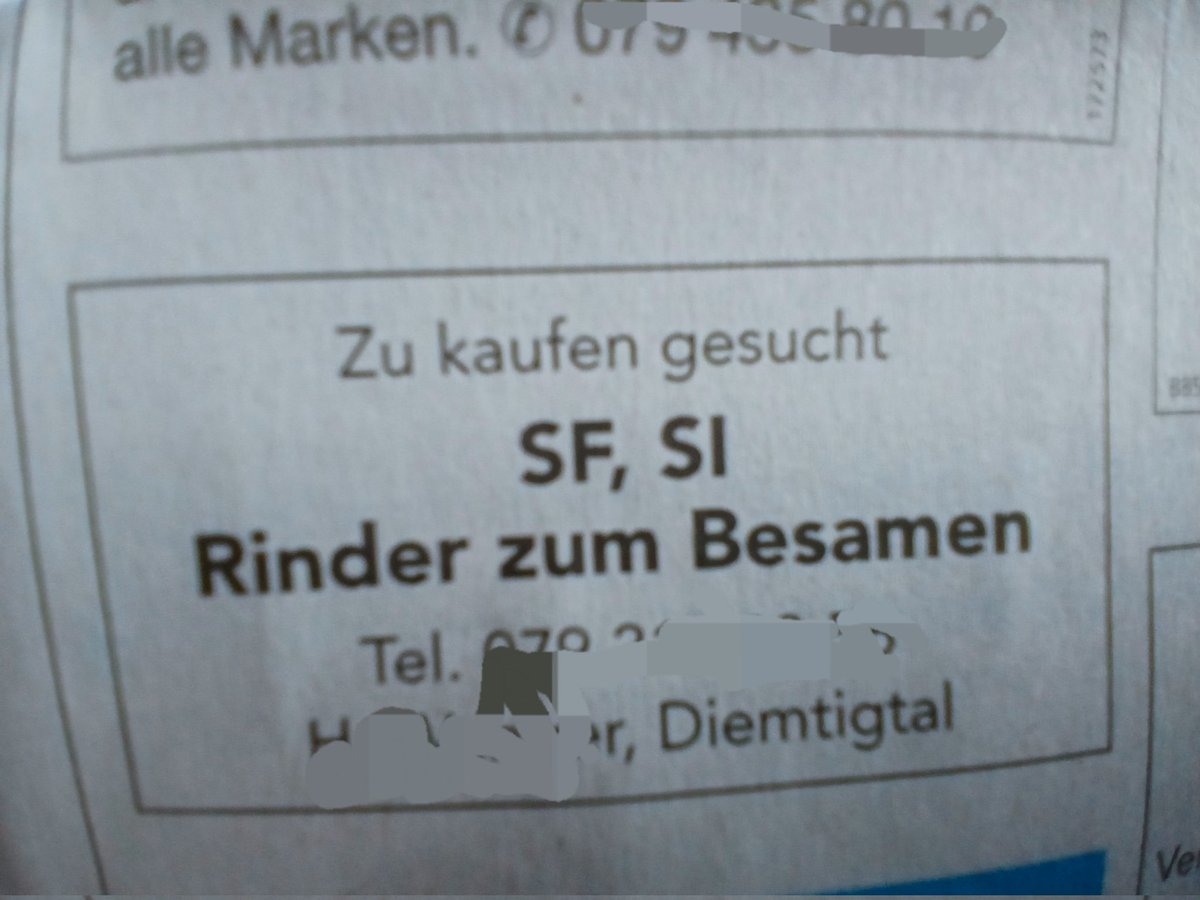 Dört woni woone...😄