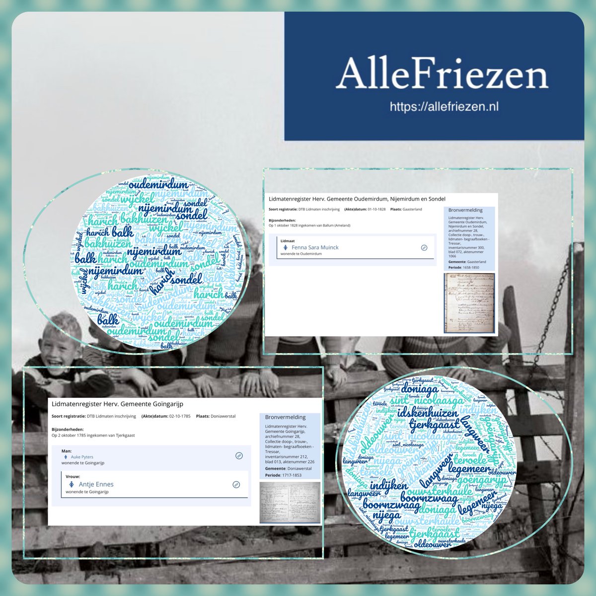 AlleFriezen tweet media