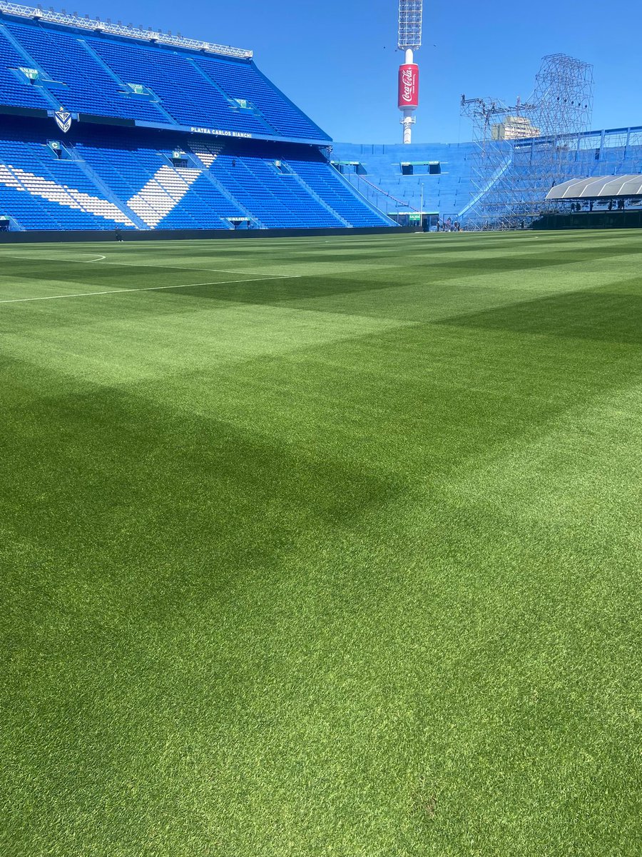 FLexGrass tweet media