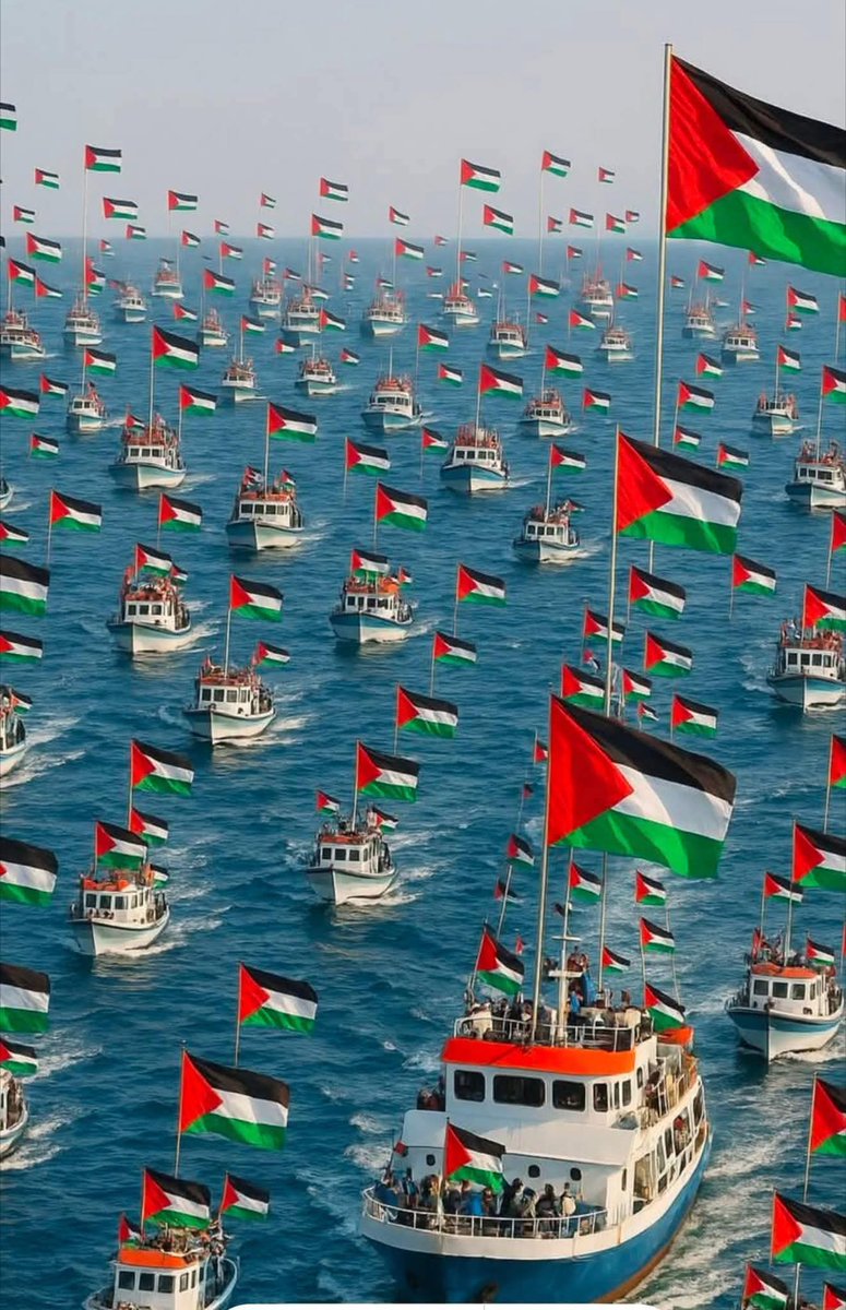 'As if the Sea should part
And show a further Sea... '

Long live Palestine. ✊🏾

#GazaFlotilla #FreedomFlotilla
