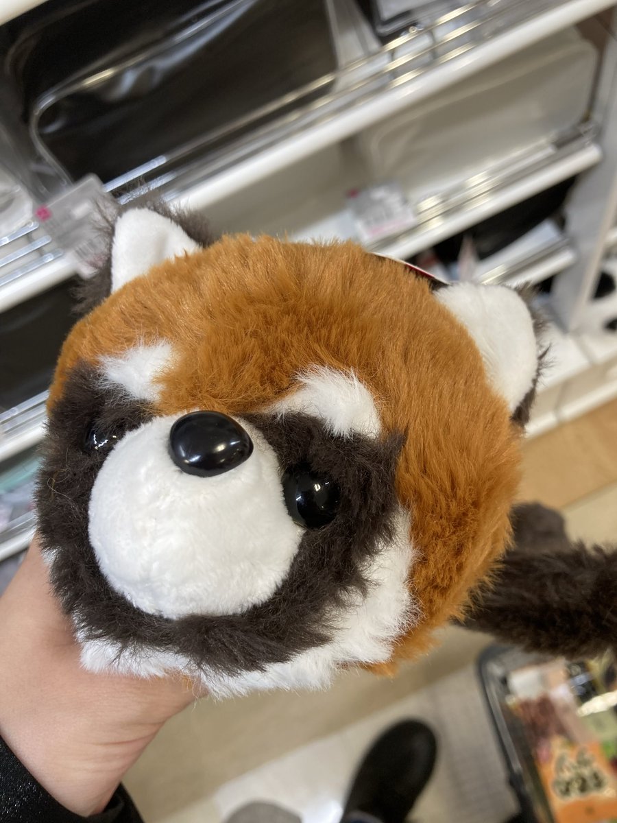 君は美研の....!!!!