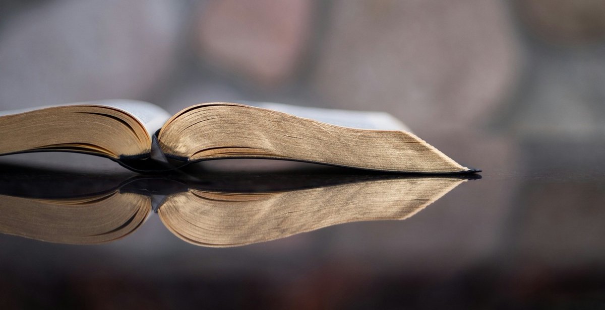 TheIntelMiner's tweet image. Carly Curates – October Edition ✨

This month’s reading list dives into the important topic of governance and regulation in the mining industry.

theintelligentminer.com/2025/10/02/car…

#mining #exploration #minedevelopment #CarlyCurates #TheIntelligentMiner #readinglist #miningindustry