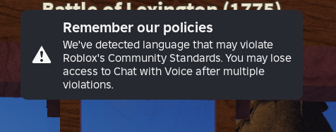 what happens when you say "i HATE america" on roblox voice chat