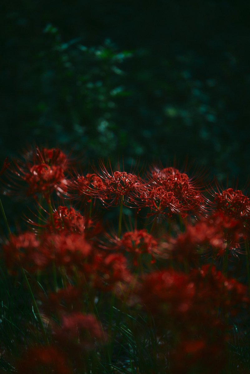 Fragments of Life