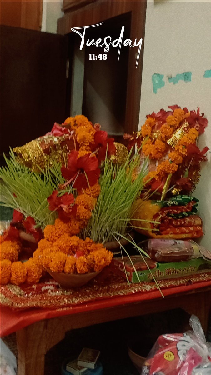 जय जगदंबे🙏💐